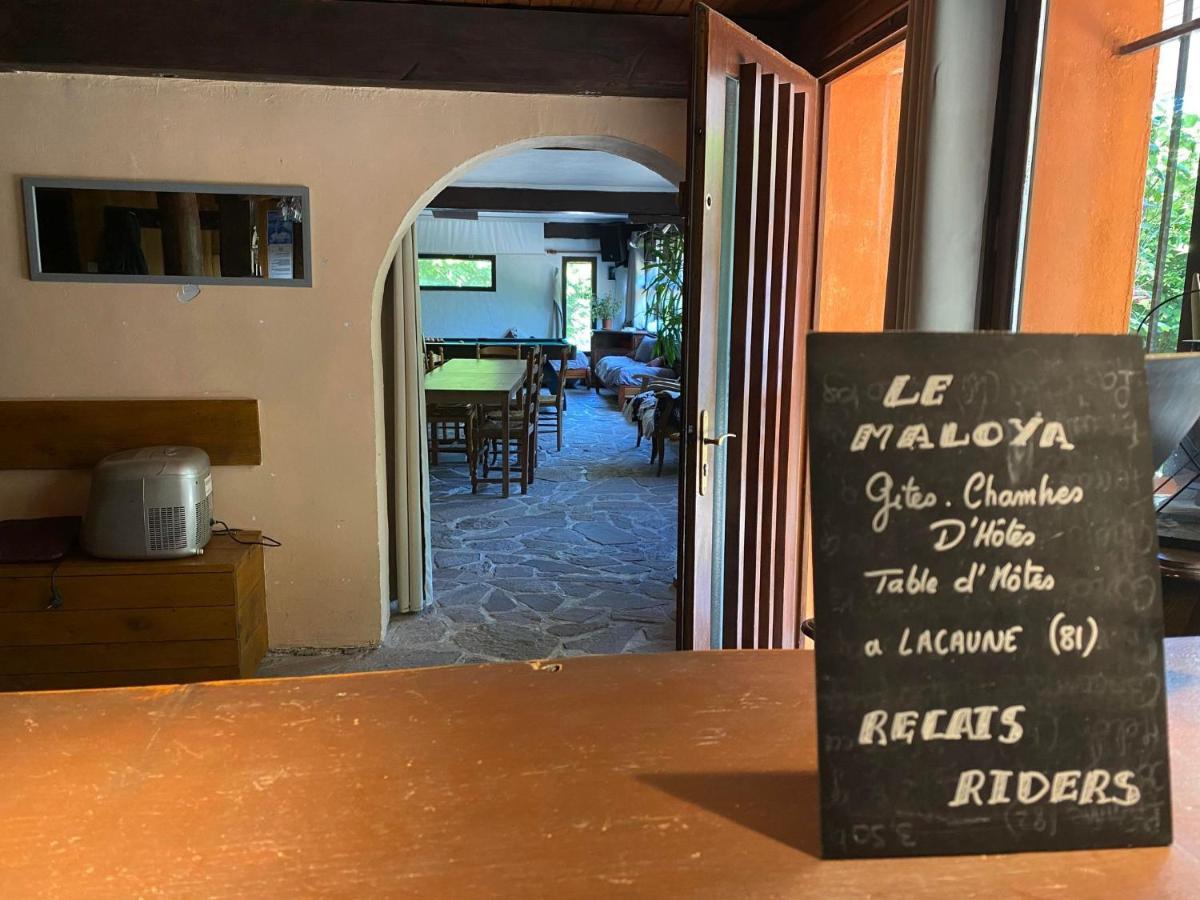 "Le Maloya" Chalets Independants -Chambre Balneo - Relais Motards Lacaune Exteriör bild