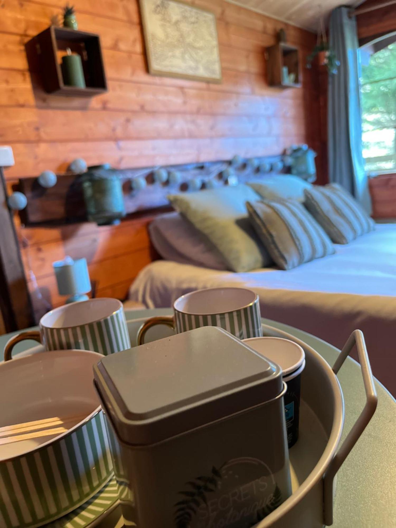 "Le Maloya" Chalets Independants -Chambre Balneo - Relais Motards Lacaune Exteriör bild