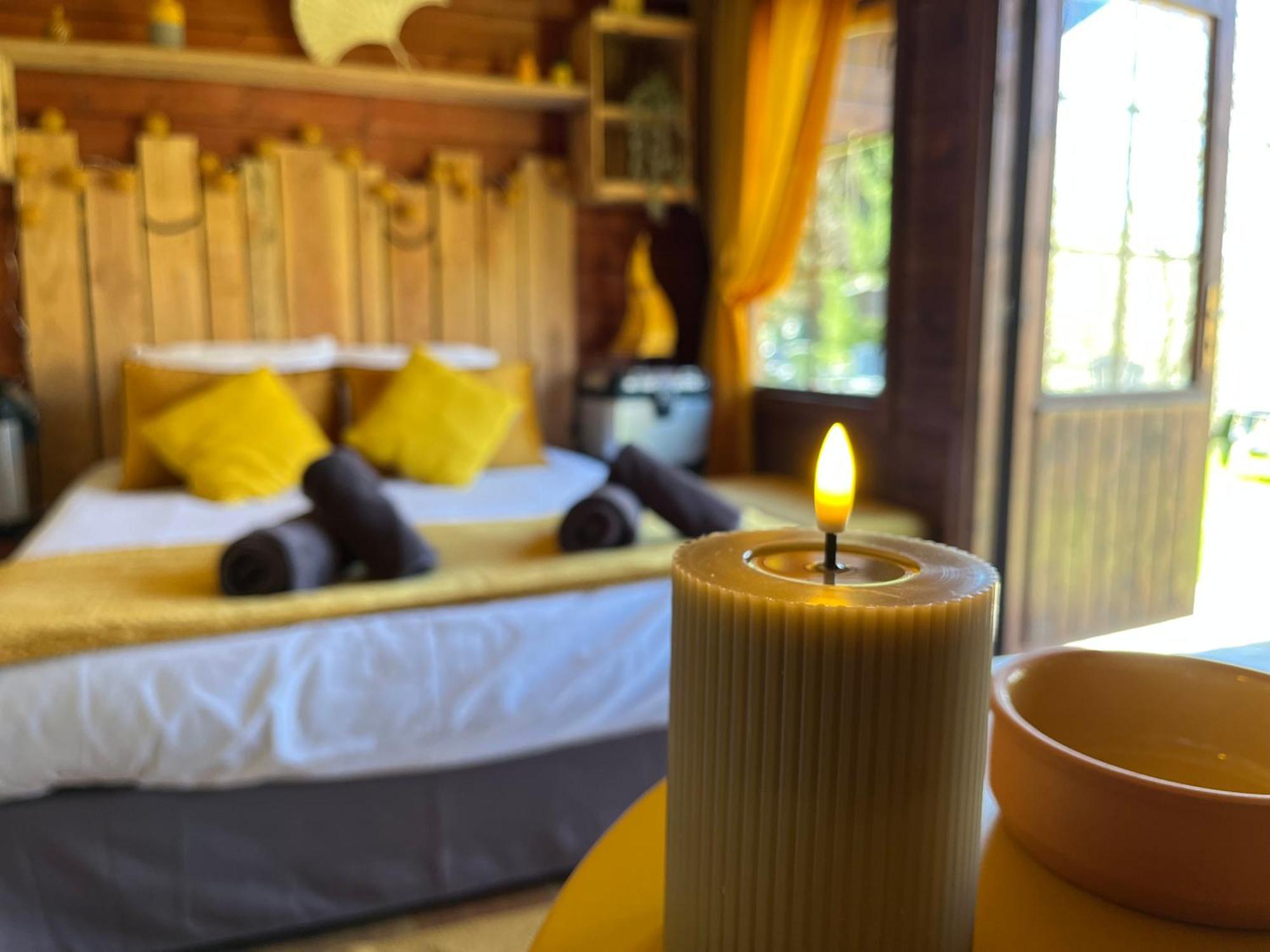"Le Maloya" Chalets Independants -Chambre Balneo - Relais Motards Lacaune Exteriör bild