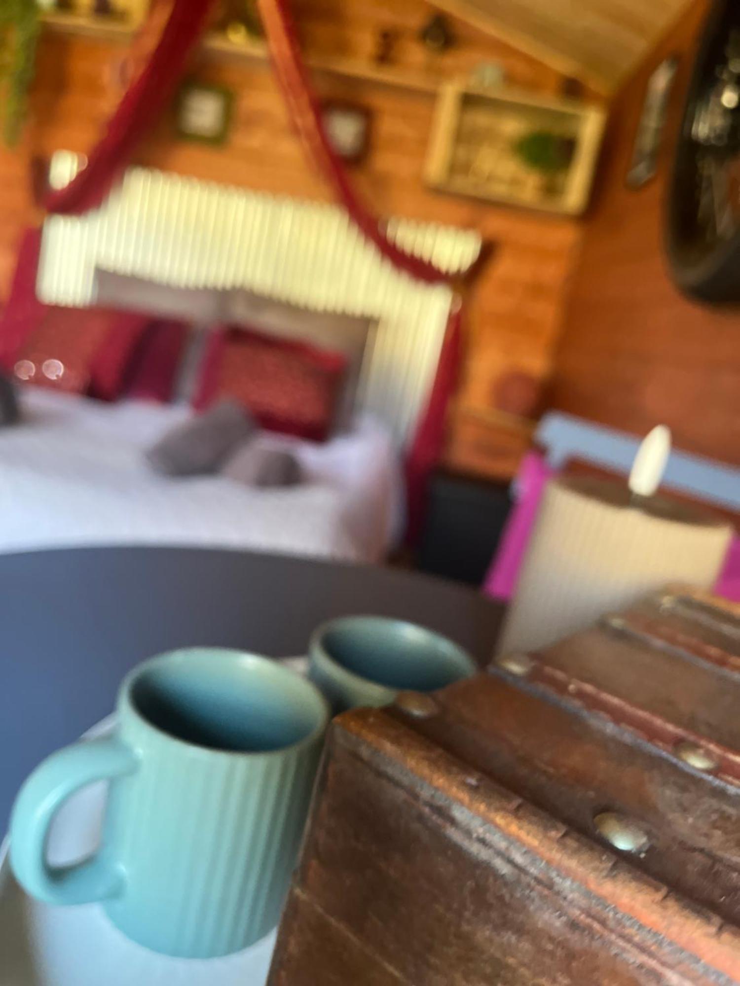 "Le Maloya" Chalets Independants -Chambre Balneo - Relais Motards Lacaune Exteriör bild
